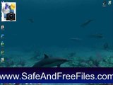 Download Shark Water World 3D Screensaver 1.5.3.3 Serial Key Generator Free