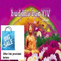 Clearance Sales! Buddha Bar XIV Review