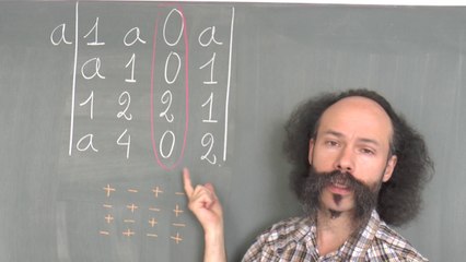 Exemple de calcul dedeterminant 4*4