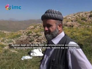 Beytüşşebap'ta 12 PKK'linin olduğu mezar bulundu