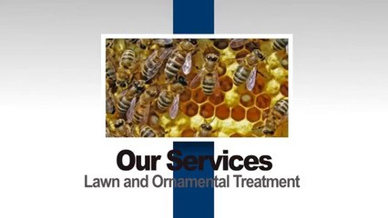 Ambassador Pest - Eco-friendly Pest Control in Stuart