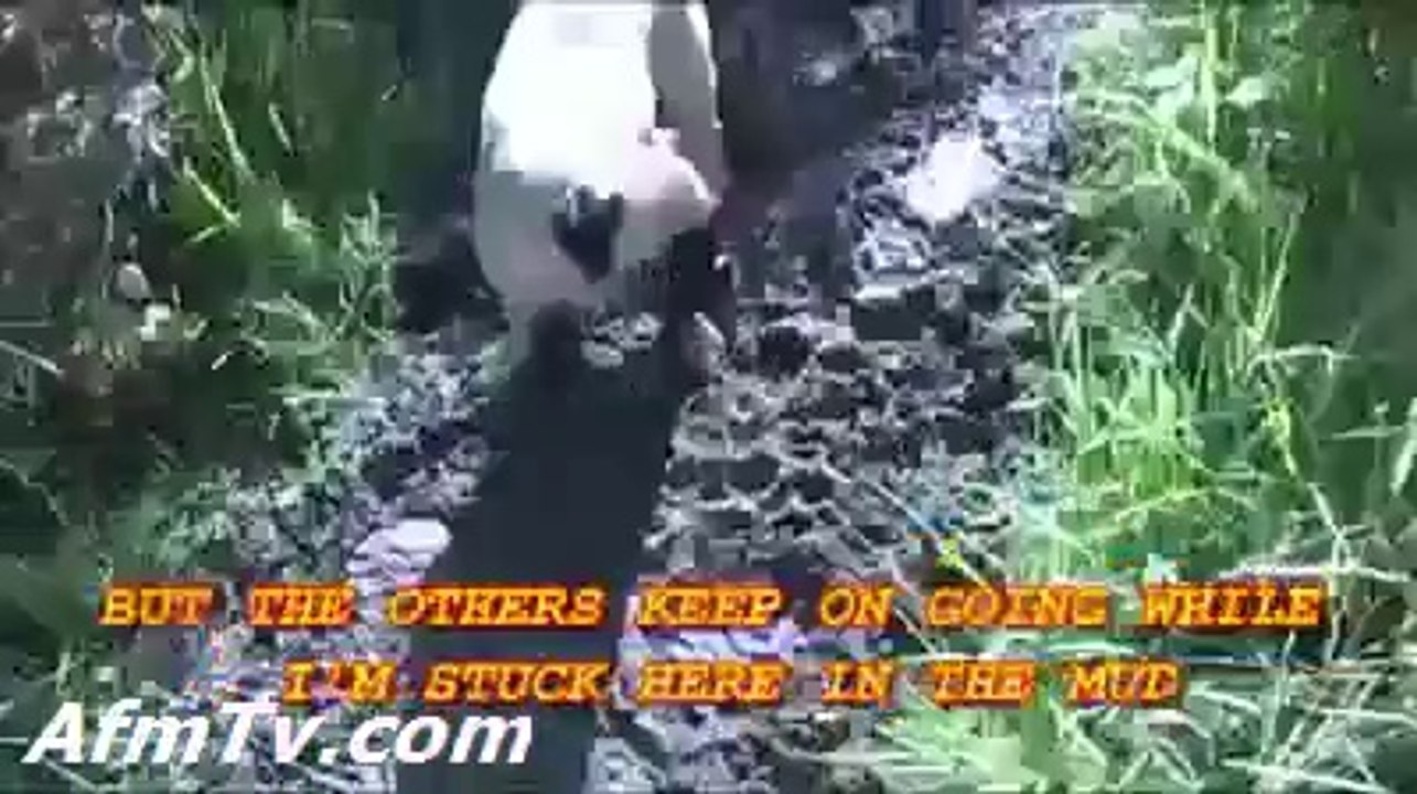 This is so funny Dogs