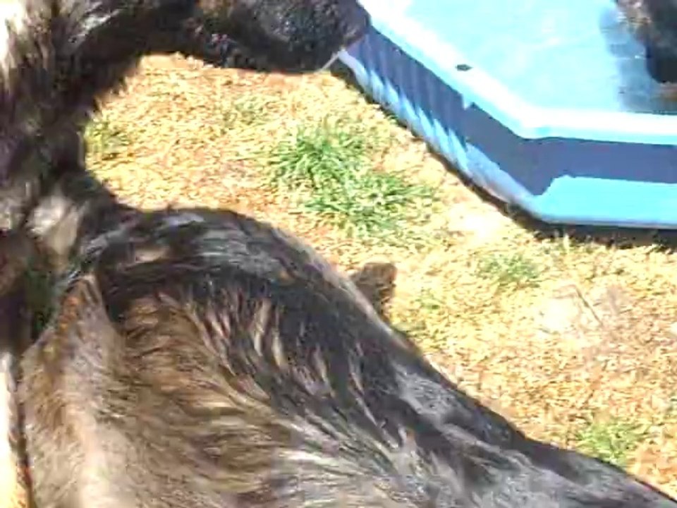 Sous le soleil Normand