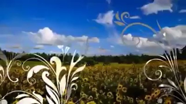 كل عام وأنتم بخير كل عام وآلامه الإسلامية...