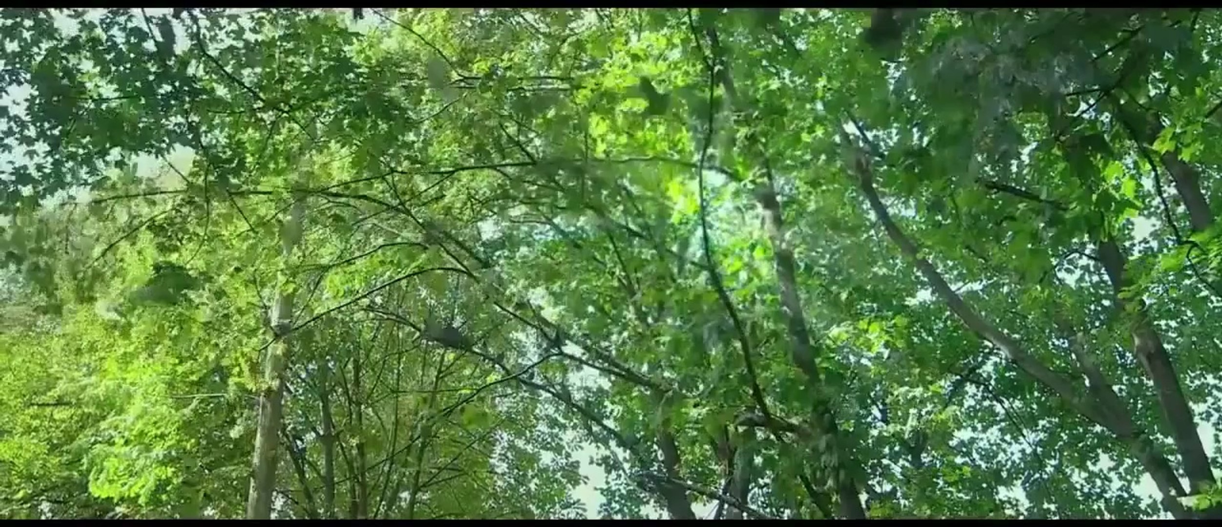 ⁣Film Indonesia 99 Cahaya di Langit Eropa Full Movie