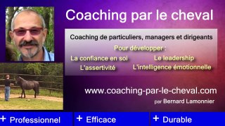 Coaching par le cheval