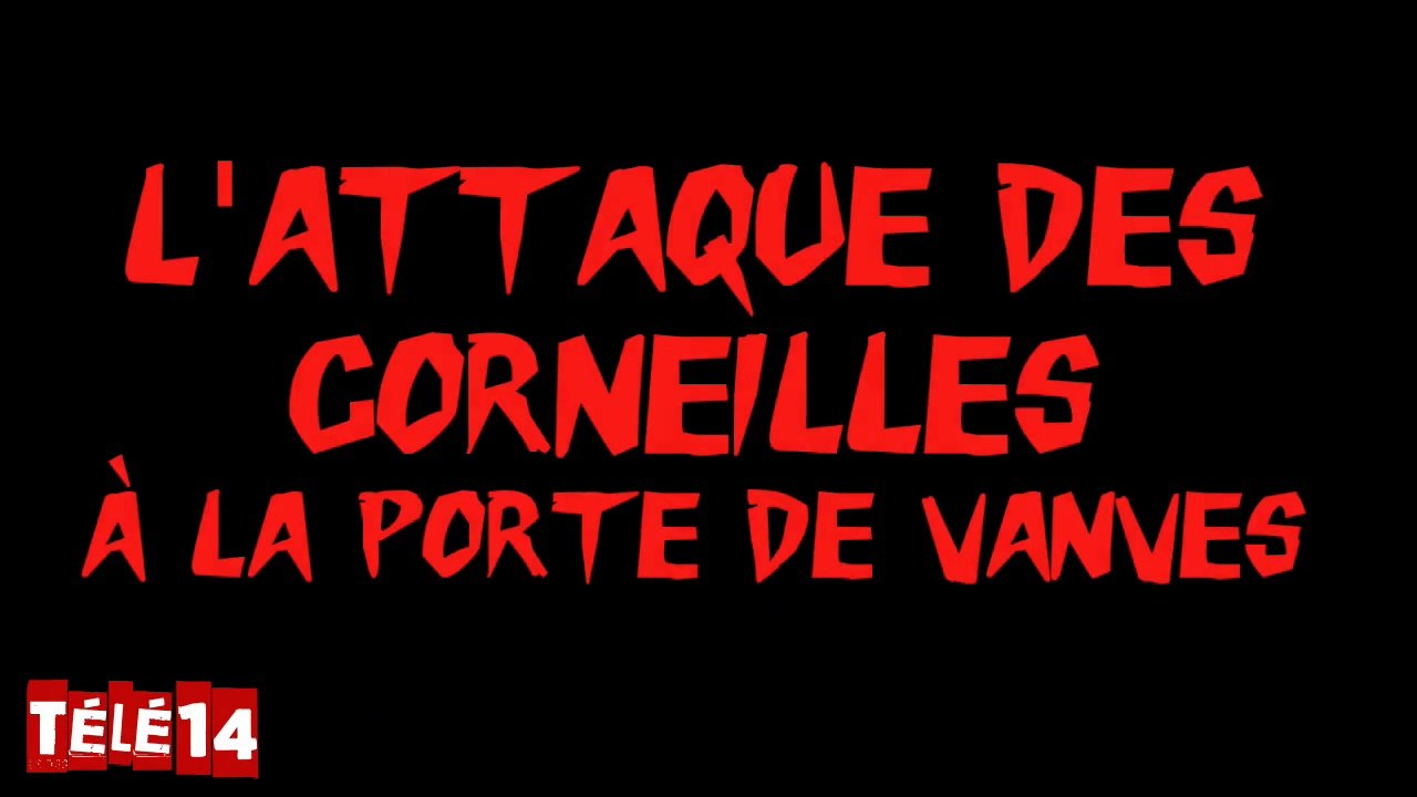 L'Attaque des corneilles à la porte de Vanves