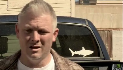 Great White Snaps Cage in Half