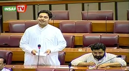 PTI Qaisar Jamal Afridi's speech on Budget in National Assembly (June 16, 2014)