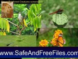 Download Shaun Rainforest Creatures Screensaver 1.0 Product Key Generator Free