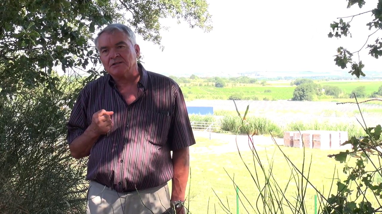 Centrale solaire Ortaffa