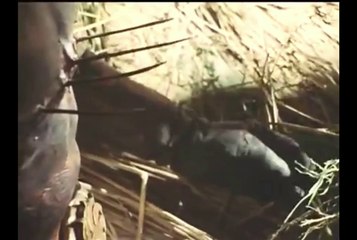 What was that? (Toku Logic 1)