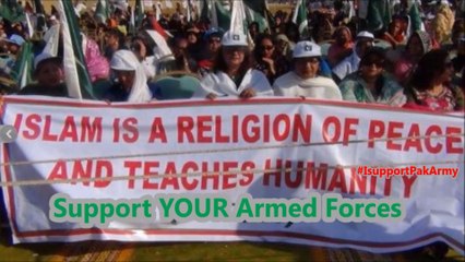 Zerb-E-Azb MQM Solidarity with PakArmy #RiseForArmy