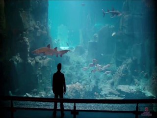 Ege Erdemli & Samet Hertelden -  Vakitsiz Geldi Ayrılık 2014