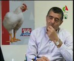 Algerie,Tlemcen,production de poules reproductrices