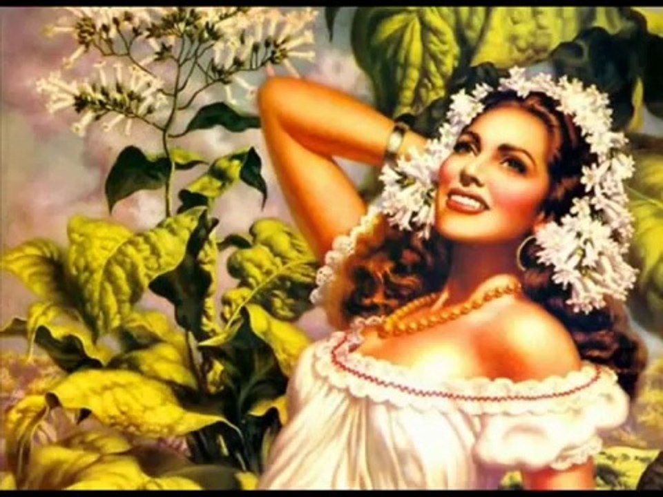 MOST BEAUTIFUL VIOLIN VOICE -ÇOK GÜZEL KEMAN SESİ -FİKRİMİN İNCE GÜLÜ