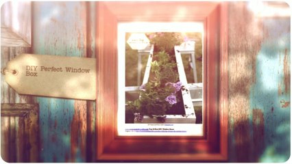 Top 10 Best DIY Window Boxes