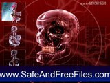Download Terminator 3 Rise of the Machines Screensaver T-850 Schematics 1.0 Product Number Generator Free