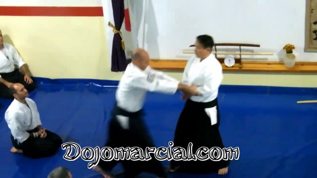 Shiho nage - Yoshiaki Yokota Shihan, 7Dan Aikido - Jefe de Instructores de Aikikai Japón - Chief Instructor of Aikikai Japa