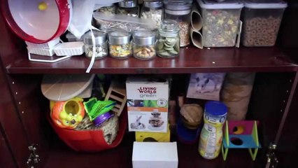 MOVING ROOMS | Vlogs