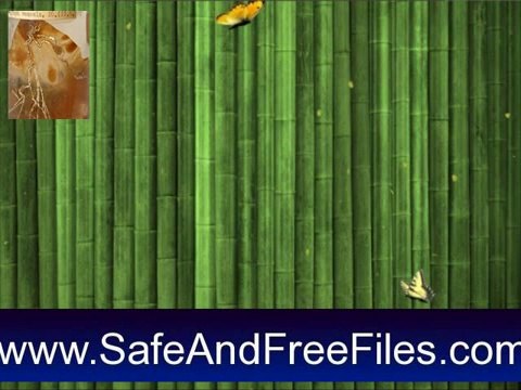 Download Wonderful Nature Screensaver 1.0 Product Key Generator Free