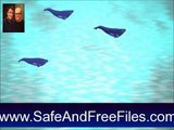 Download Whales Screen Saver 93011 Serial Number Generator Free