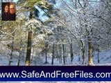 Download Winter Wonderlands 1.0 Serial Number Generator Free