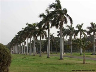 Dil Ke Veerane Mein Ek Shama Hai Ab Tak Roshan - (Audio)