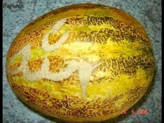 Allah written on Melons  {Miracles Museum}