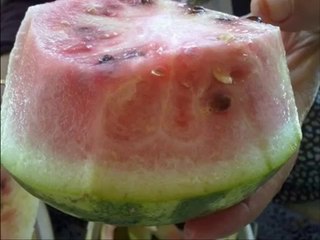 Allah written on Watermelons  {Miracles Museum}