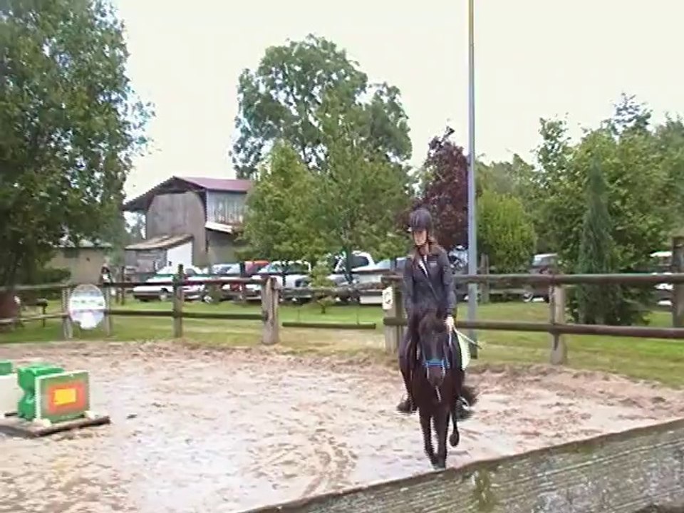 Moustache competing in 40-60 cm at the poneyclub, in the rain! He did good! :)