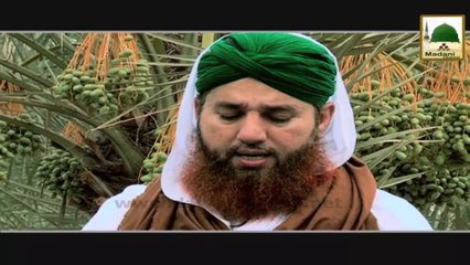 Madani Phool 11 - Taraweeh kay Hawalay se Mufeed Maloomat (1)