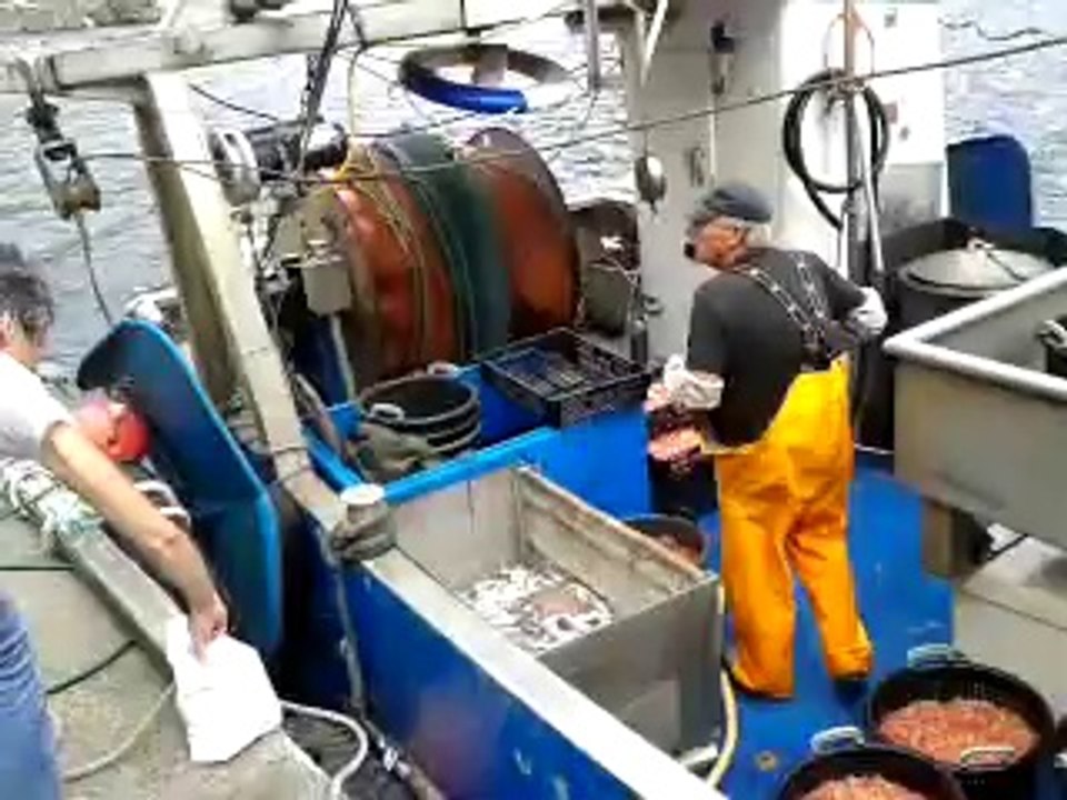 video-2014-07-04-13-57-19
