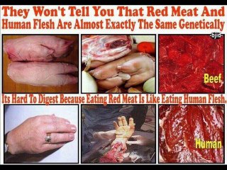 SPeeD oF LighT [Prod. by AsaFoBMP]