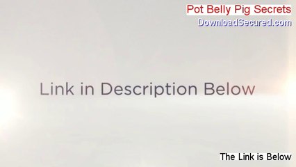 Pot Belly Pig Secrets Free PDF [Get It Now 2014]