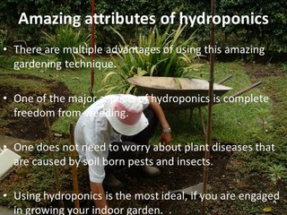 Ben Pure Highlights Hydroponics And Great Art Of Indoor Gardening