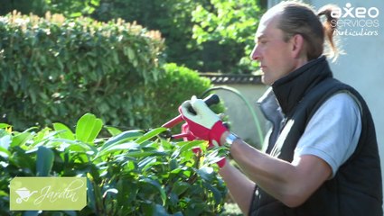 AXEO Services Univers Jardin