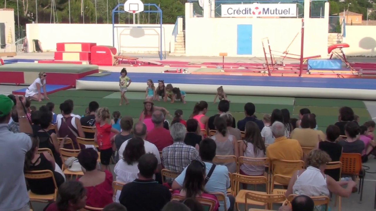 Gala 2014 : Perrier - Groupe de pré poussines