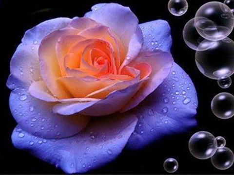 YILDIZ DEMİRKOL SAVAŞ-yıldızlıtürküler-AL YEŞİL GİYİNMİŞ GELİNE BAKIN