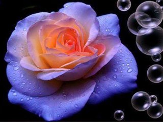 YILDIZ DEMİRKOL SAVAŞ-yıldızlıtürküler-AL YEŞİL GİYİNMİŞ GELİNE BAKIN