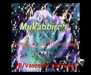 87 Praise-worthy Alqaab of Bibi Fatimah S.A.