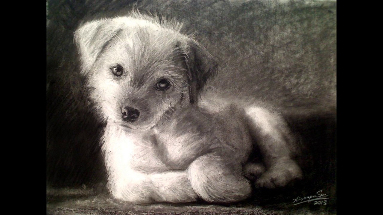 Drawing Puppy