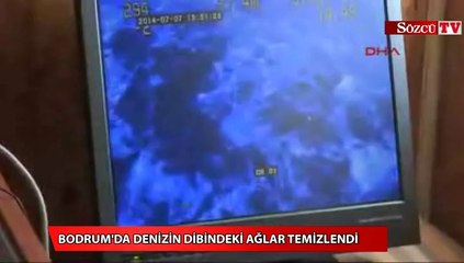 Denizin dibindeki ağları temizlediler