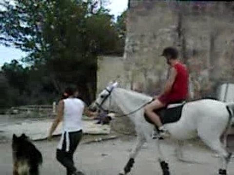 un pot ki mon sur mon pti poney adoré