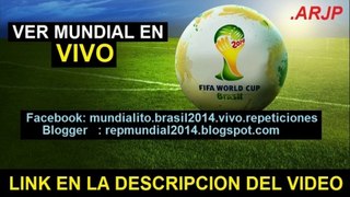 Ver partido HOLANDA vs COSTA RICA En Vivo Mundial Brasil 2014 05 de Julio 2014