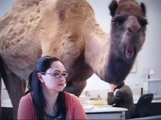 Guess the Day! 🗓️