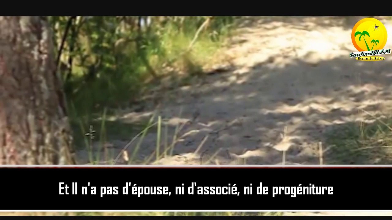 Qui est Allah ?. Le concept de Dieu en Islam