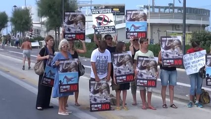 Icaro Tv. Delfinario, apertura rinviata ma la protesta no