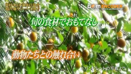 めちゃイケ 郷に入っては郷に従え 岡村44歳の誕生日 南の孤島でサバイバル 全裸仙人と遭遇 SMAP参戦 新生めちゃギントン ザキヤマ 14.07.05 7月5日