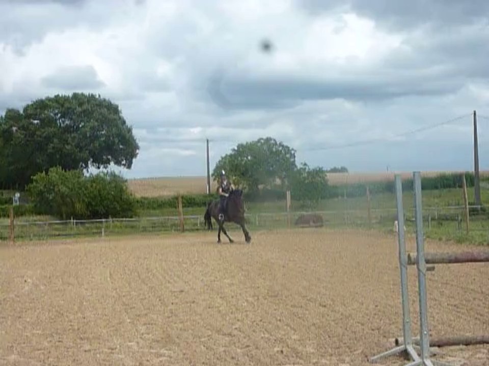 Syllia des fleuris saut